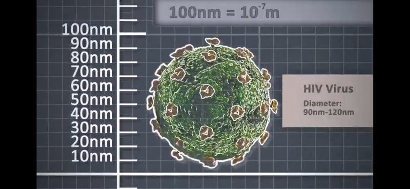 HIV size