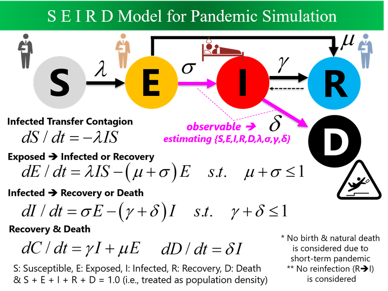 Infection model developped