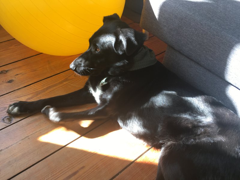 Finishing the challenge in great company