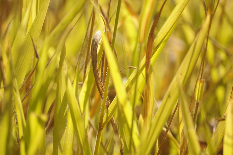 despite the confusion we still have light