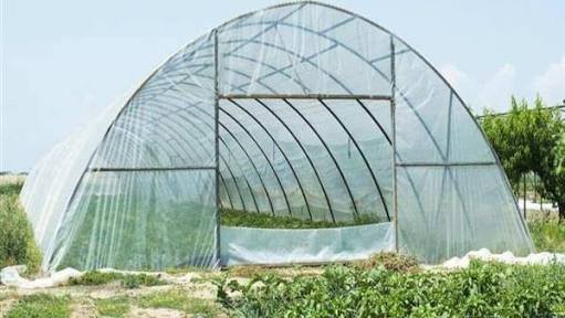 توضيحا لشكل الصوبه الزراعيه 