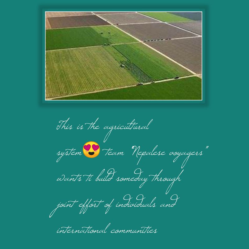 We dream of building reformed agricultural society and are working hard on it as a part of our campaign!!