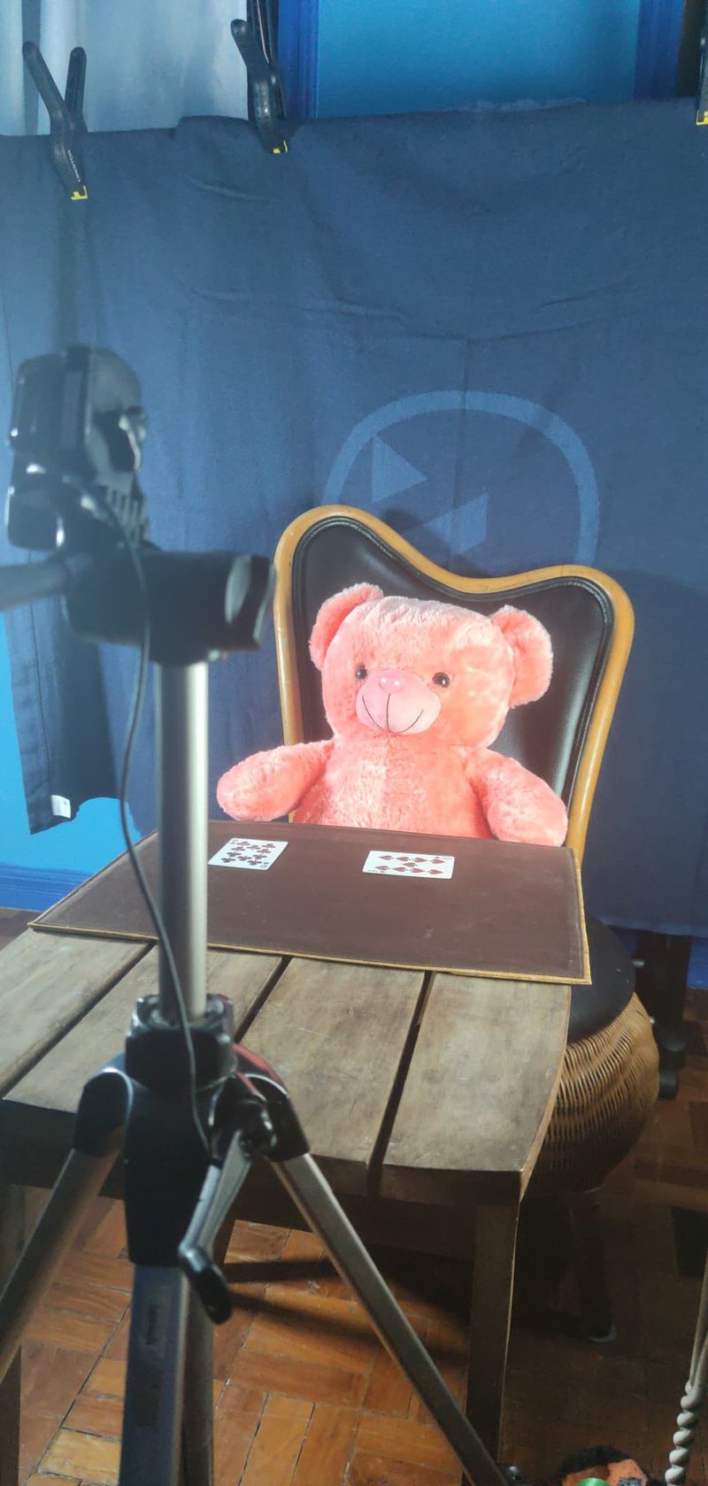 π«π«There is a crime of CUTENESS underway π«π« π€―π€―Our plushy #Petsona pals are taking over π€―π€― π€©π€©Bringing you into their world and helping you combat the struggles of #SocialIsolation π€©π€© ππGet a glimpse of these furballs while we continue developing our #PetsonaAR app ππ