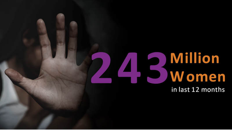 Domestic violence cases in last 12 months