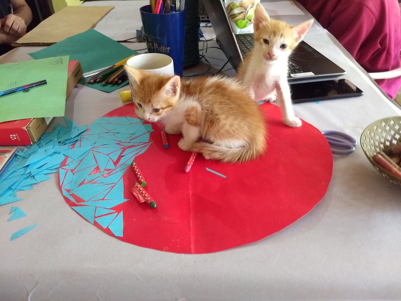 Helpful kittens