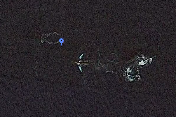Is this a bird? A plane? No, it's a whale! (at least we hope so) Image (c) Google Maps
