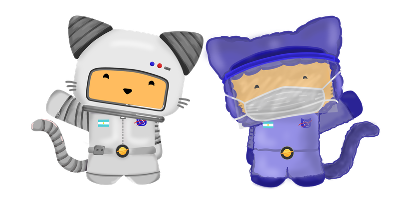 Our cat and the Doctor cat working together