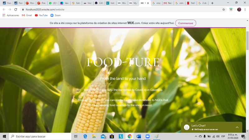 This is the look of our website. We are really proud of the result!